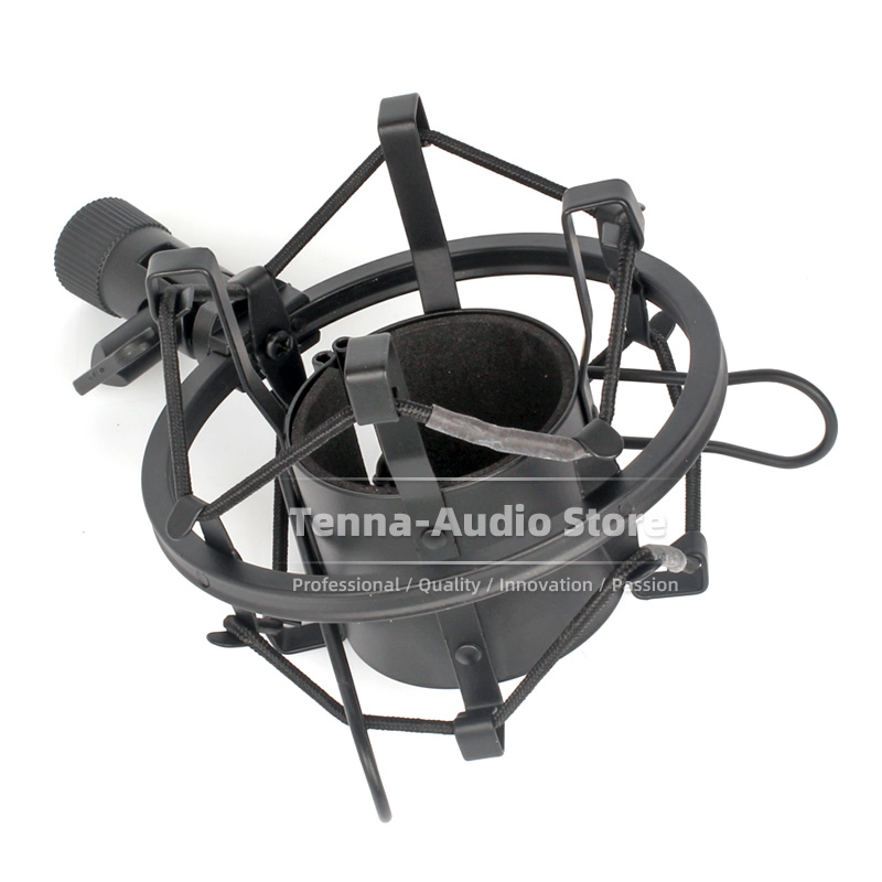 SnapVox と互換性のある NEUMANN TLM102 - Shure Mic Sm7B のレビューと価格